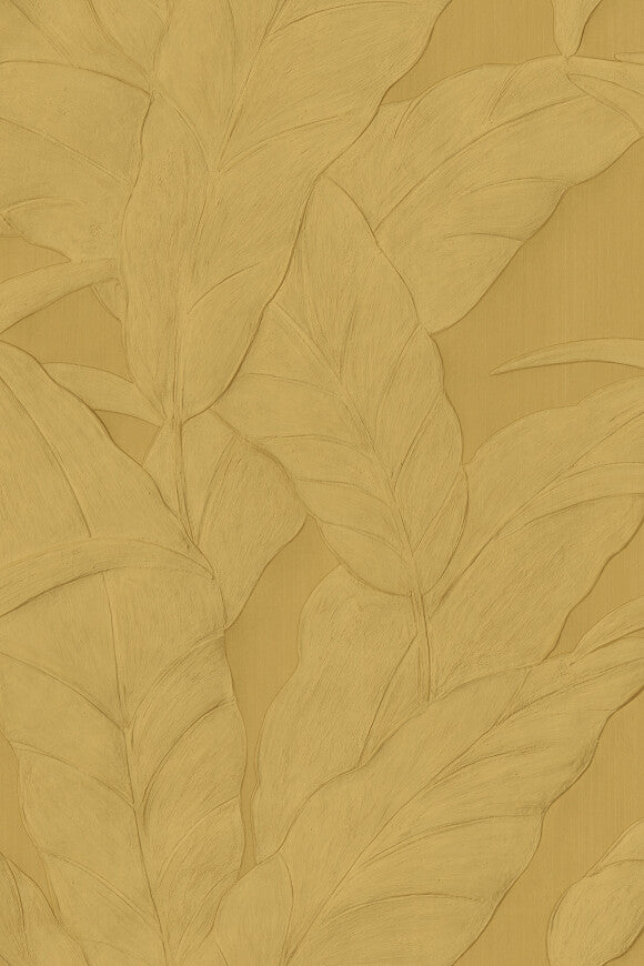Selva Musa – 75004