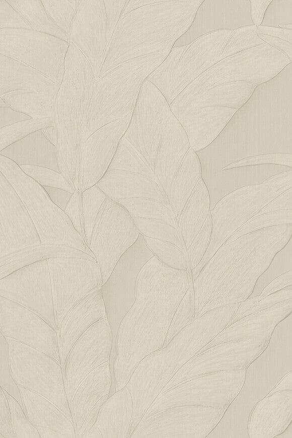 Selva Musa – 75002