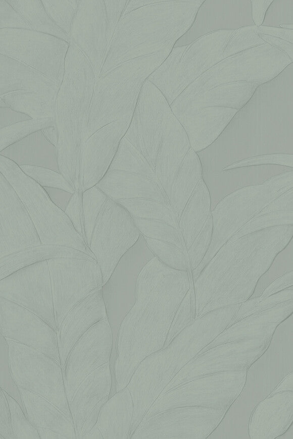 Selva Musa – 75003