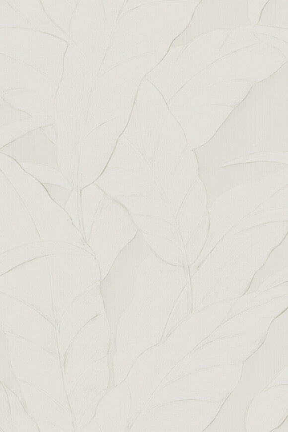 Selva Musa – 75001