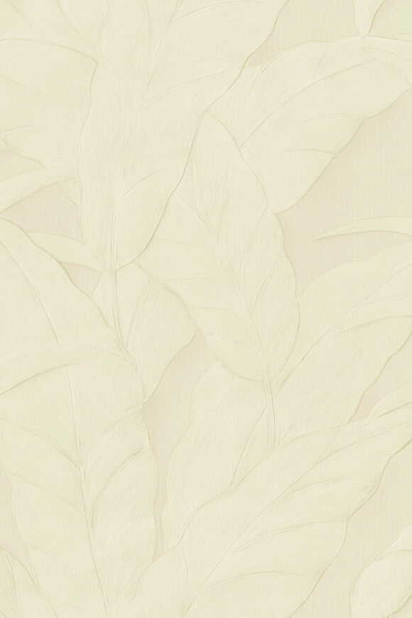 Selva Musa – 75005
