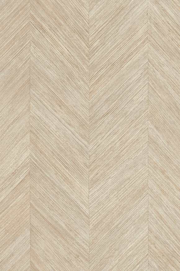 Selva Corteza 34201