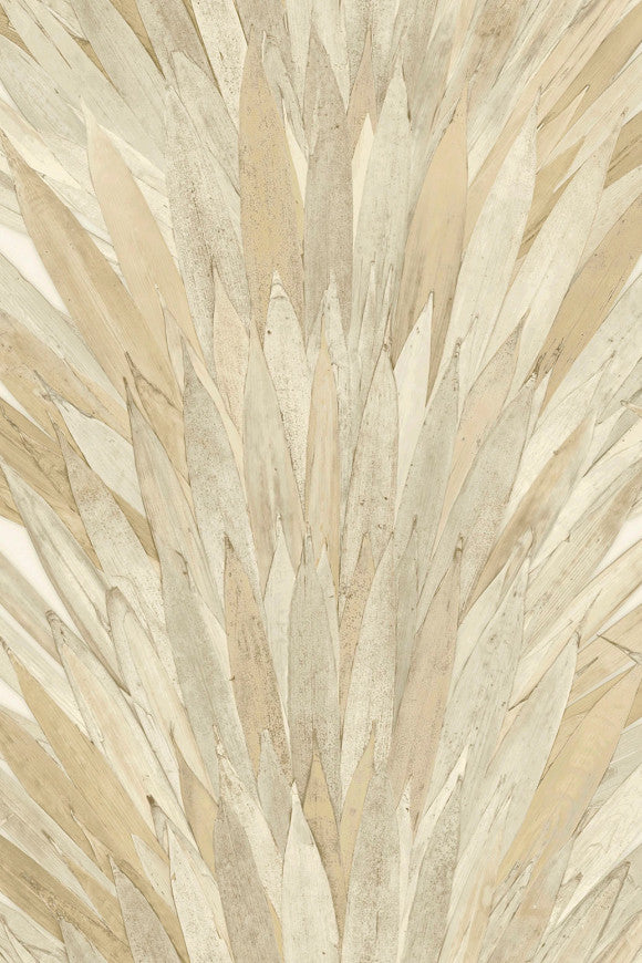 Selva Albanico 34000