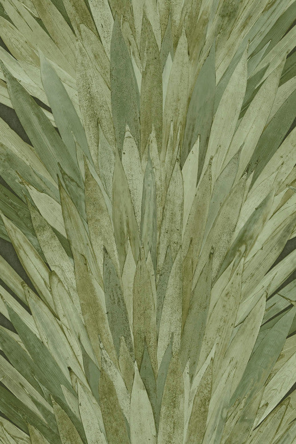 Selva Albanico 34001