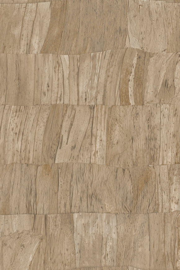 Selva Capas 34300