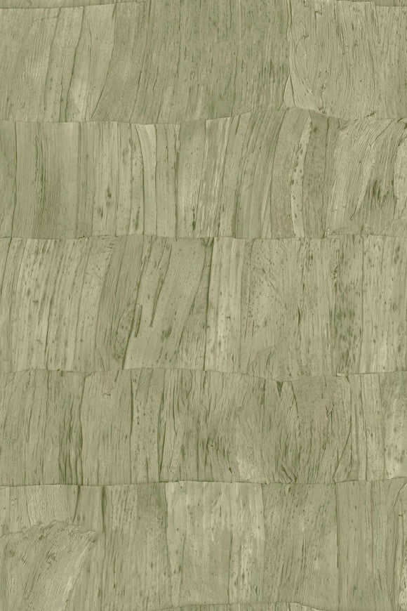 Selva Capas 34304