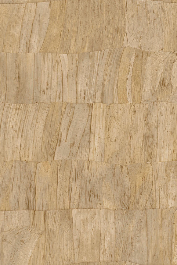 Selva Capas 34307